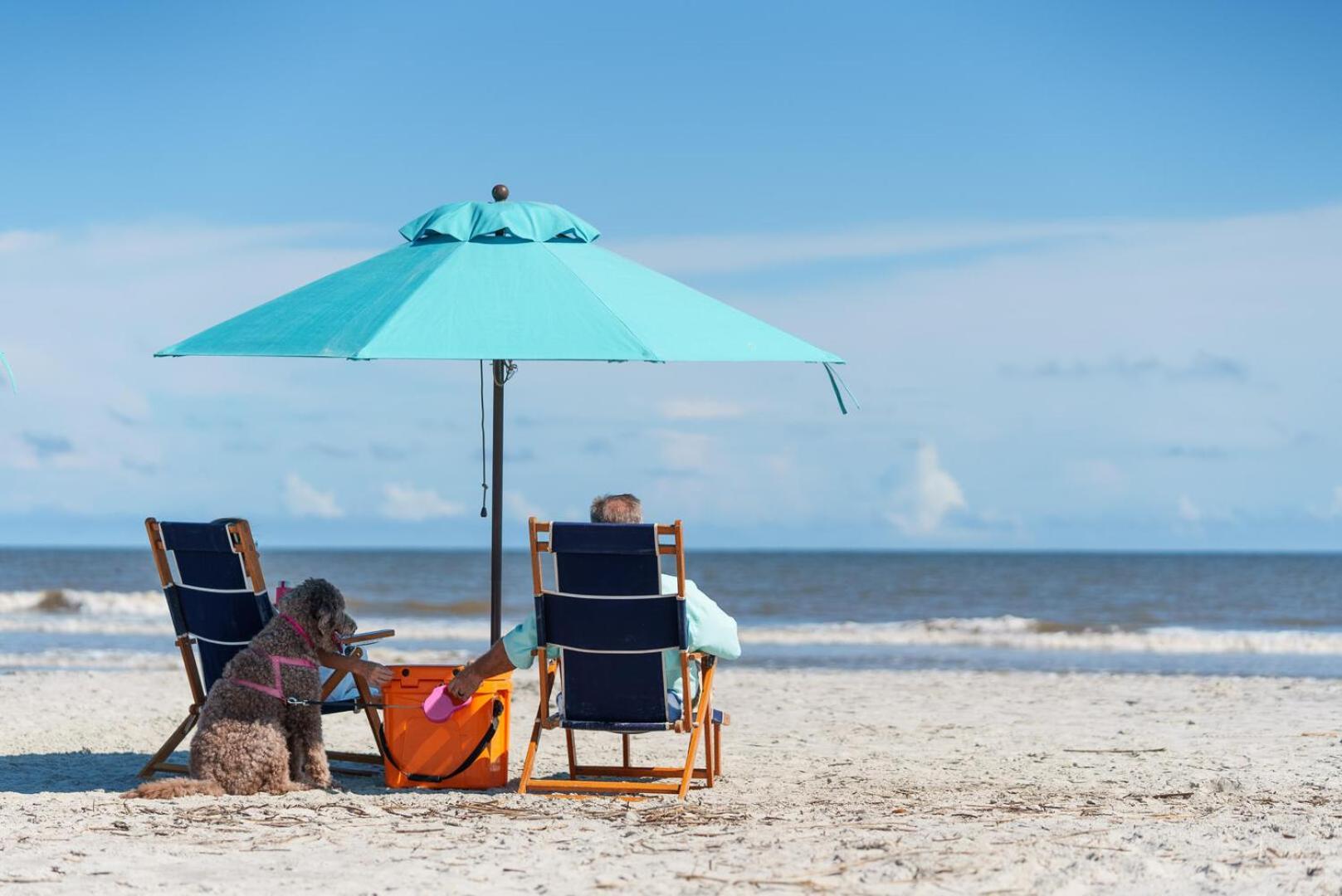 412 Tarpon Blvd Villa Fripp Island Bagian luar foto